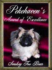 Award of Excellence