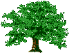 A tree