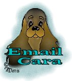 Email Cara