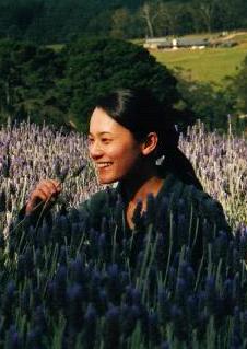 Lavenders have a lovely smell