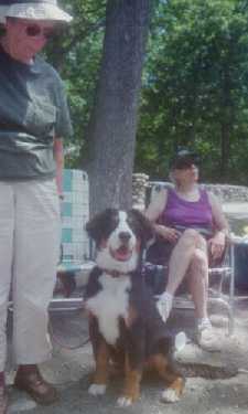 Barbara's new Berner pup