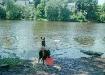 Oooo, that water feels good!