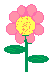 Pink Flower