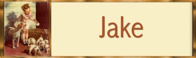 Jake Banner