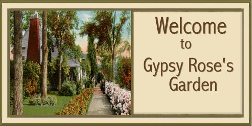 Gypsy Rose Welcome