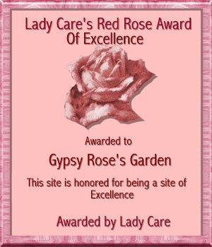 Lady Care Award