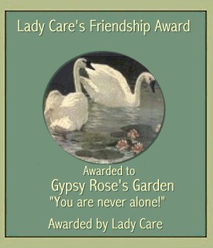 Lady Care Award