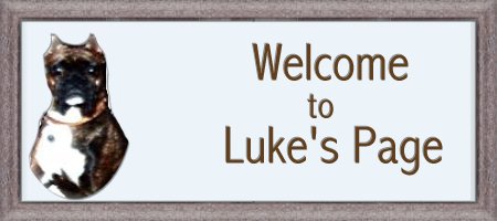 Luke's Welcome