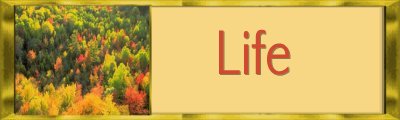 Life Banner