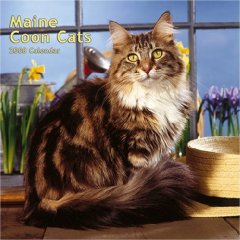 Brand New 2007 Maine Coon Calendars!