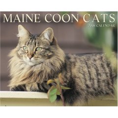 Brand New 2008 Maine Coon Calendars!