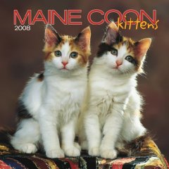 Amazon.com has new 2008 Maine Coon calendars!