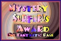 Mystery Surfer's Award