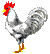 rooster