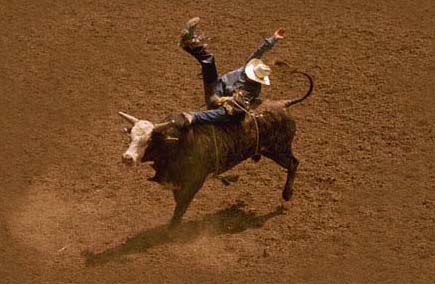 bull ride