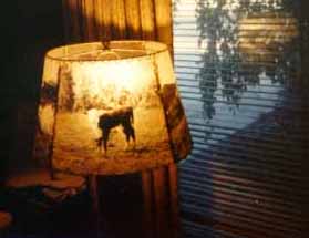 Calf Lamp