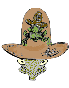 Frog Under Your Hat