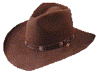 cowboy hat