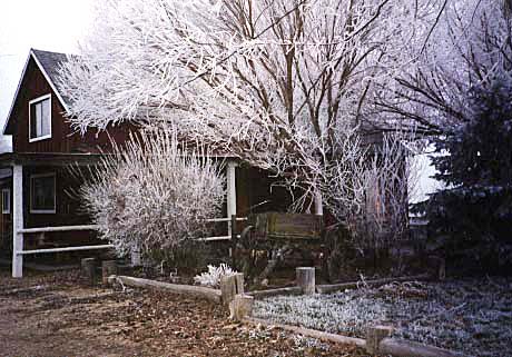 Jones house, Jan. 1, 2000 photo