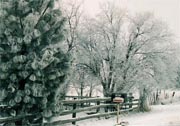 Jones snow-covered mailbox