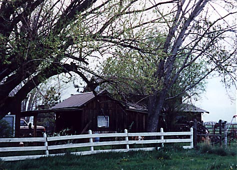 outbuildings - west view