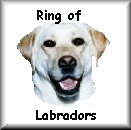 Click to join the ring of Labrador Retrievers