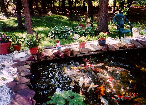 [Our Pond]