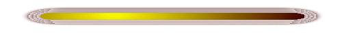 gold bar divider line