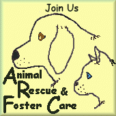 Animal Rescue & Foster Care Webring