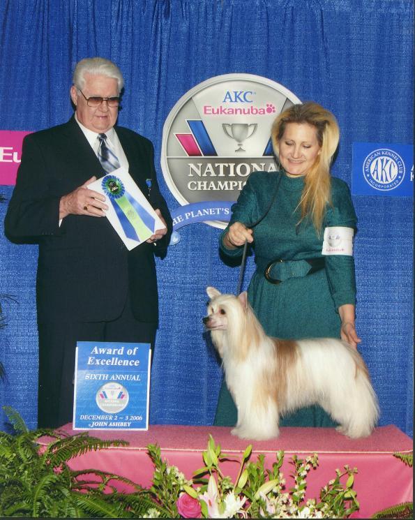 AKC/Eukanuba National Championship Award Of Excellence win