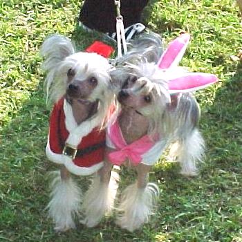 Santa & Playmate