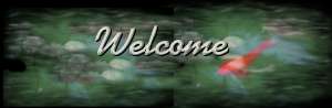 welcome