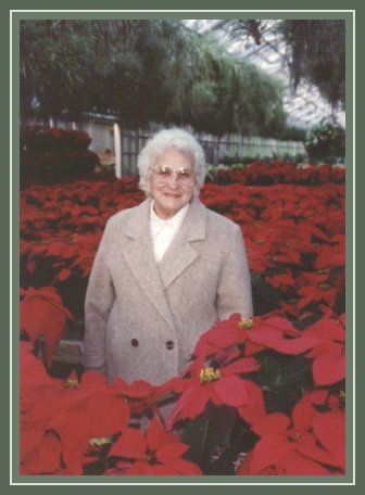 My Mom, Decked in Poinsettias