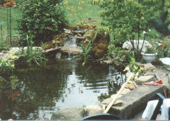 Carrie's first photo of the Pond