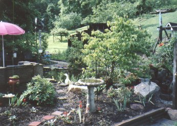 View from Driveway of the Pond