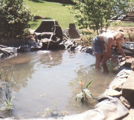 Top rock around the pond