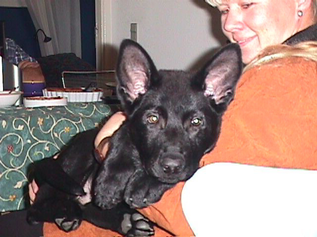 Maby I am a little old to sit on my mom's lab - or!