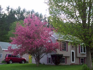 Andover Road House May 2006