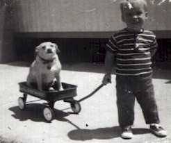 Me Age 2 pulling Lizzie in a wagon