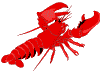 Maine Lobster