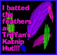 I batted the feathers!