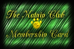 The Katnip Klub