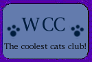 The White Cats Club