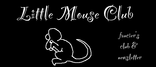 Little Mouse Club