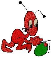 Ant