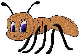 ant