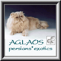 Aglaos