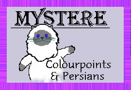 Mystere Colourpoints & Persians