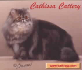 Cathissa