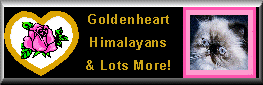 Goldenheart Himalayans